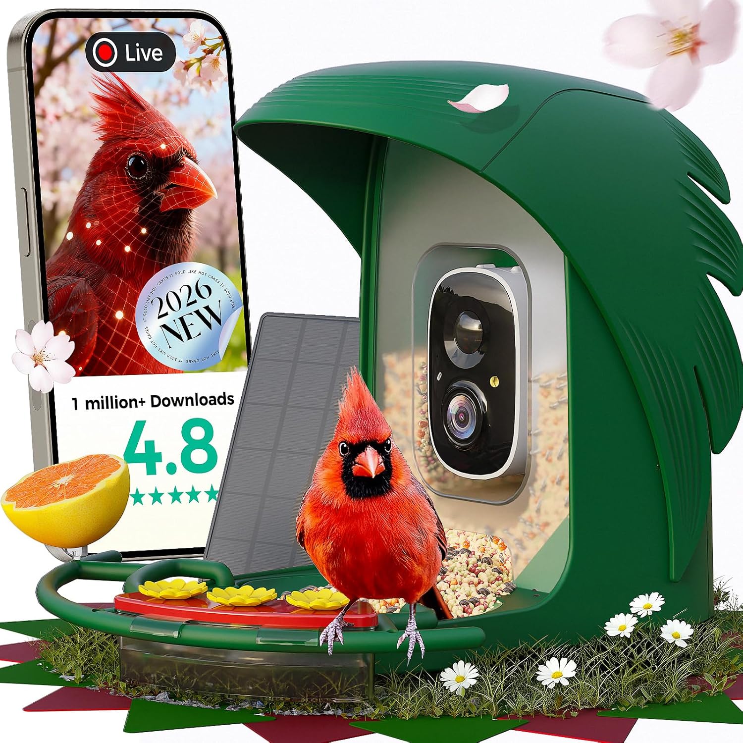 PerchMe® 2025 New AI Bird Feeder with Camera Solar Powered -2K HD Live View,Smart Bird House Camera Wireless Outdoor,DIY Add-ons,Pefect Birding Gift for Parents & Families