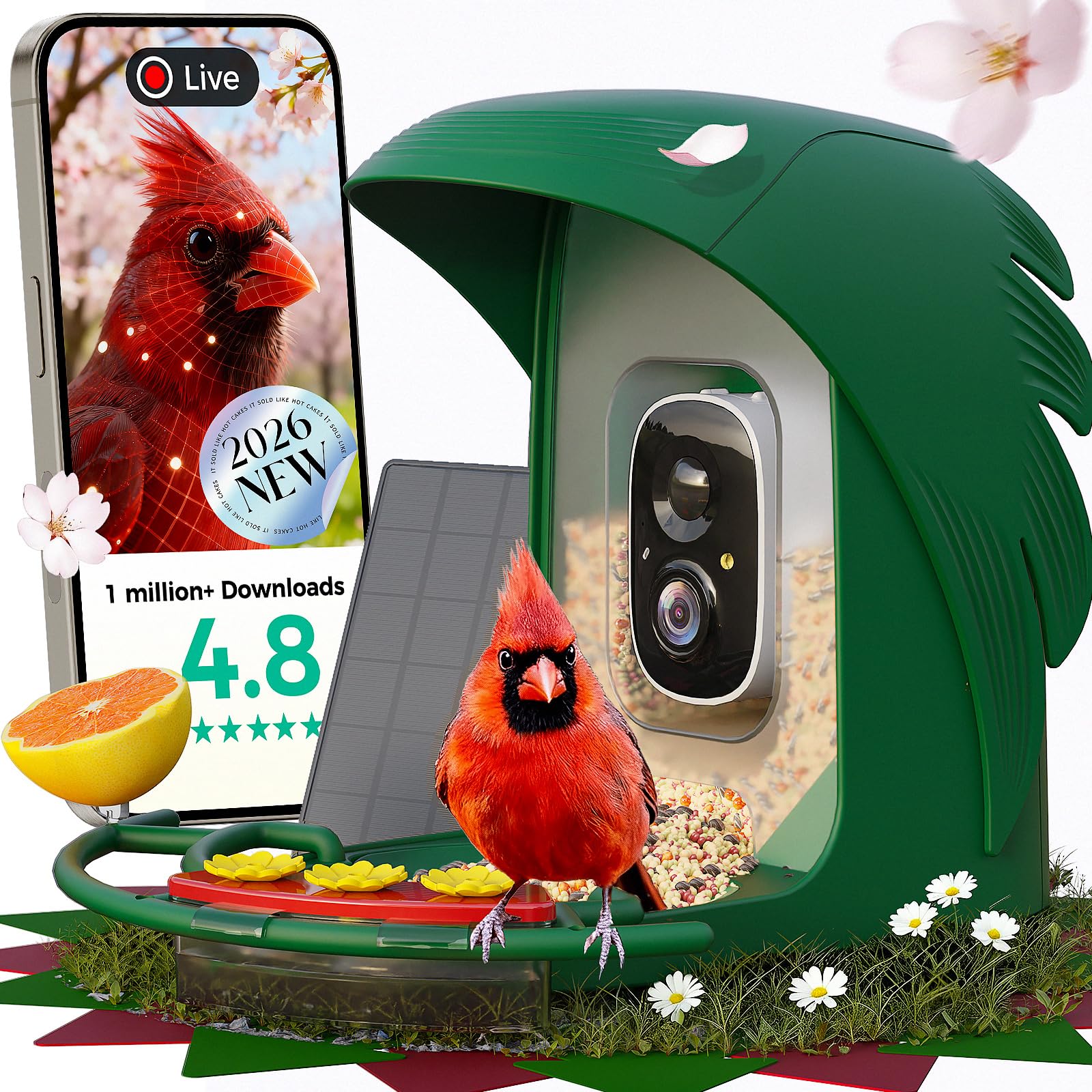 Vogelfutterstation mit Kamera, 2K HD, Live-View, intelligente Vogelhaus-Kamera, kabellos, für den Außenbereich mit KI-Identifikation, solarbetriebene DIY-Add-ons und Samenschaufel für