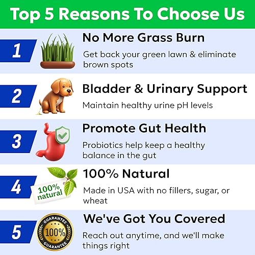 Miniatura 23 de Bark&Spark Vet Strength - Probióticos masticables para perros y enzimas digestivas para alergias con picazón en la piel, salud digestiva de perros