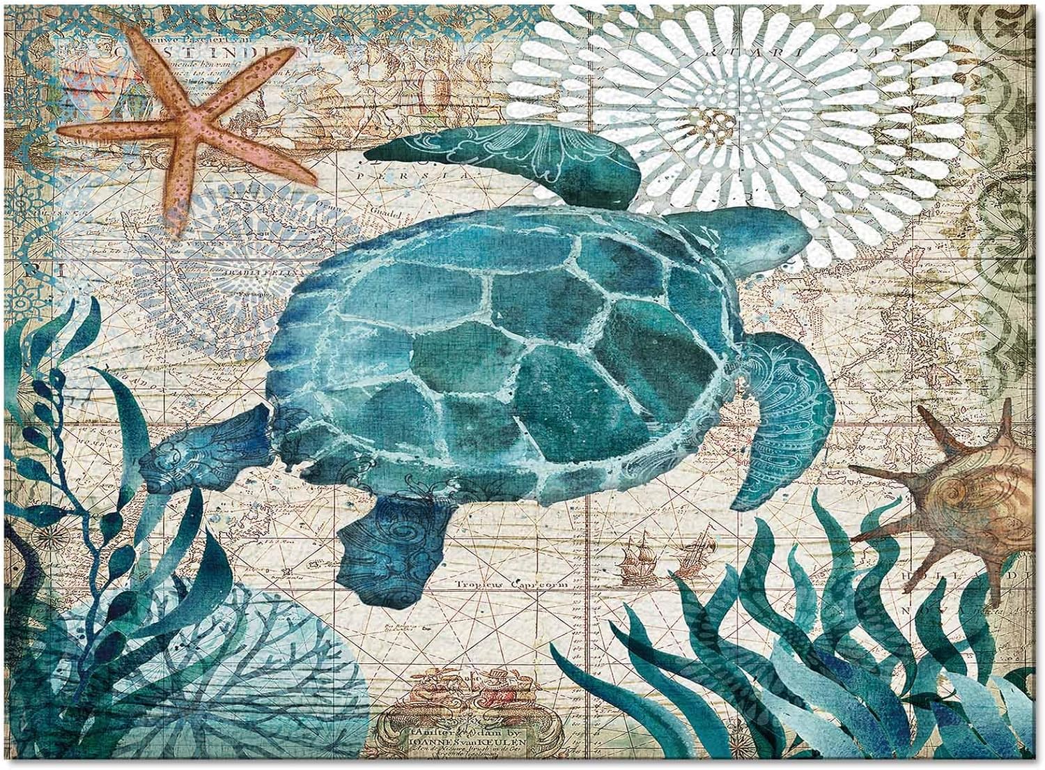 T&H XHome Chic Area Rug Collections-Luxury Ultra Soft Comfort Anti Slippery,Sea Turtle Ocean Animal Nautical Map Modern Carpet Mat Rugs for Indoor/Bedroom/Living Room Decor