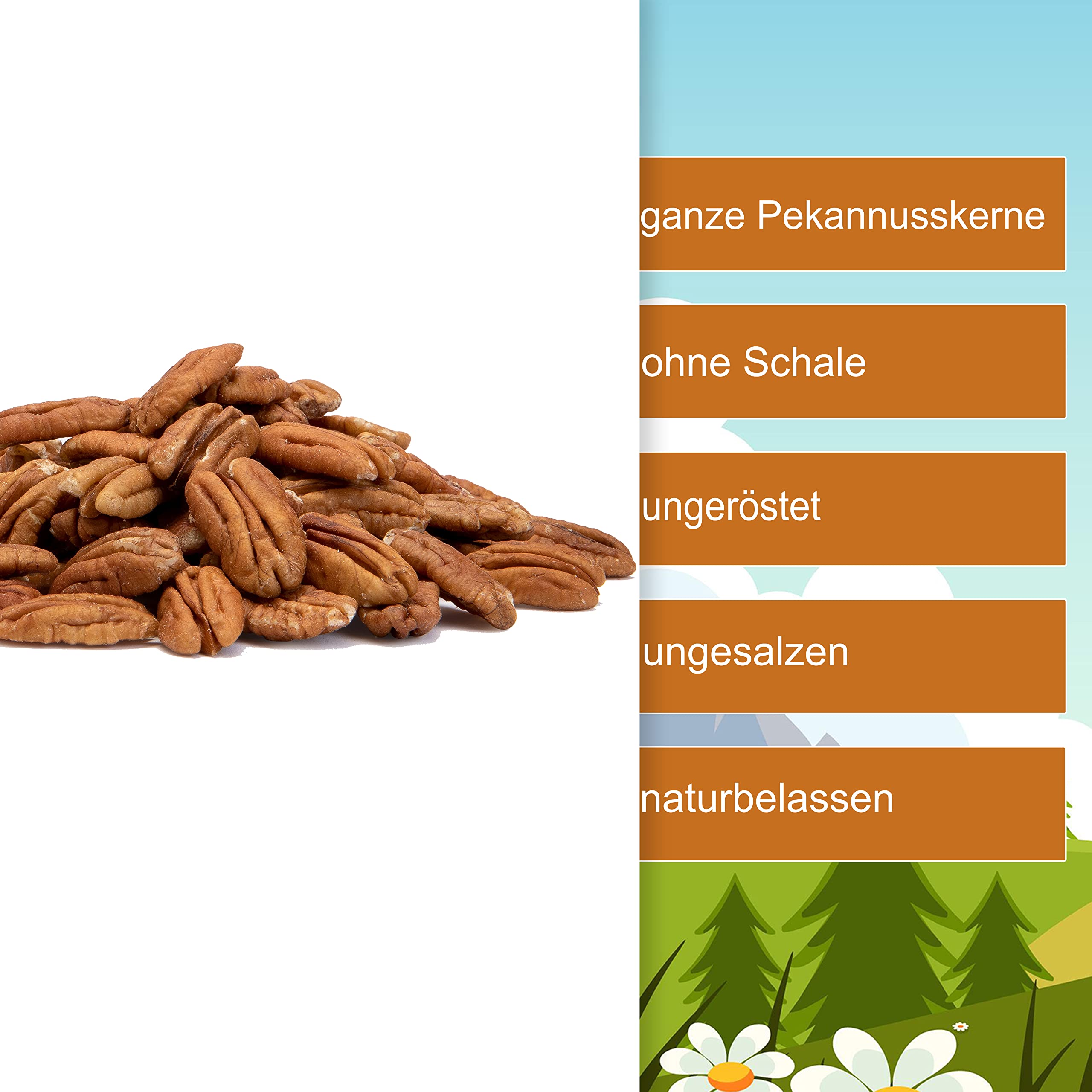 Pekannuss Pecanuss 2,5kg ganze Pekannusskerne roh ohne Schale - naturbelassen ungeröstet ungesalzen - ganze Pekannuss Kerne Hälften naturbelassen ohne Zusätze ungeschwefelt - (2,5kg)