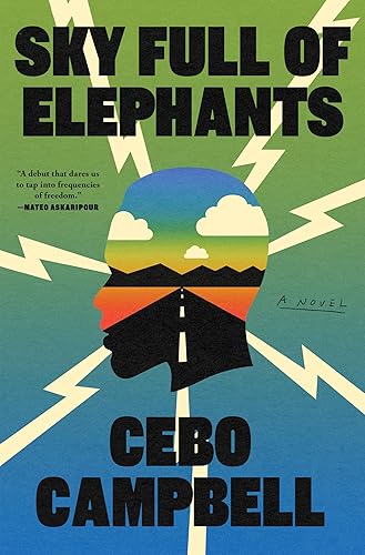 Sky Full of Elephants: A Novel - Hardcover