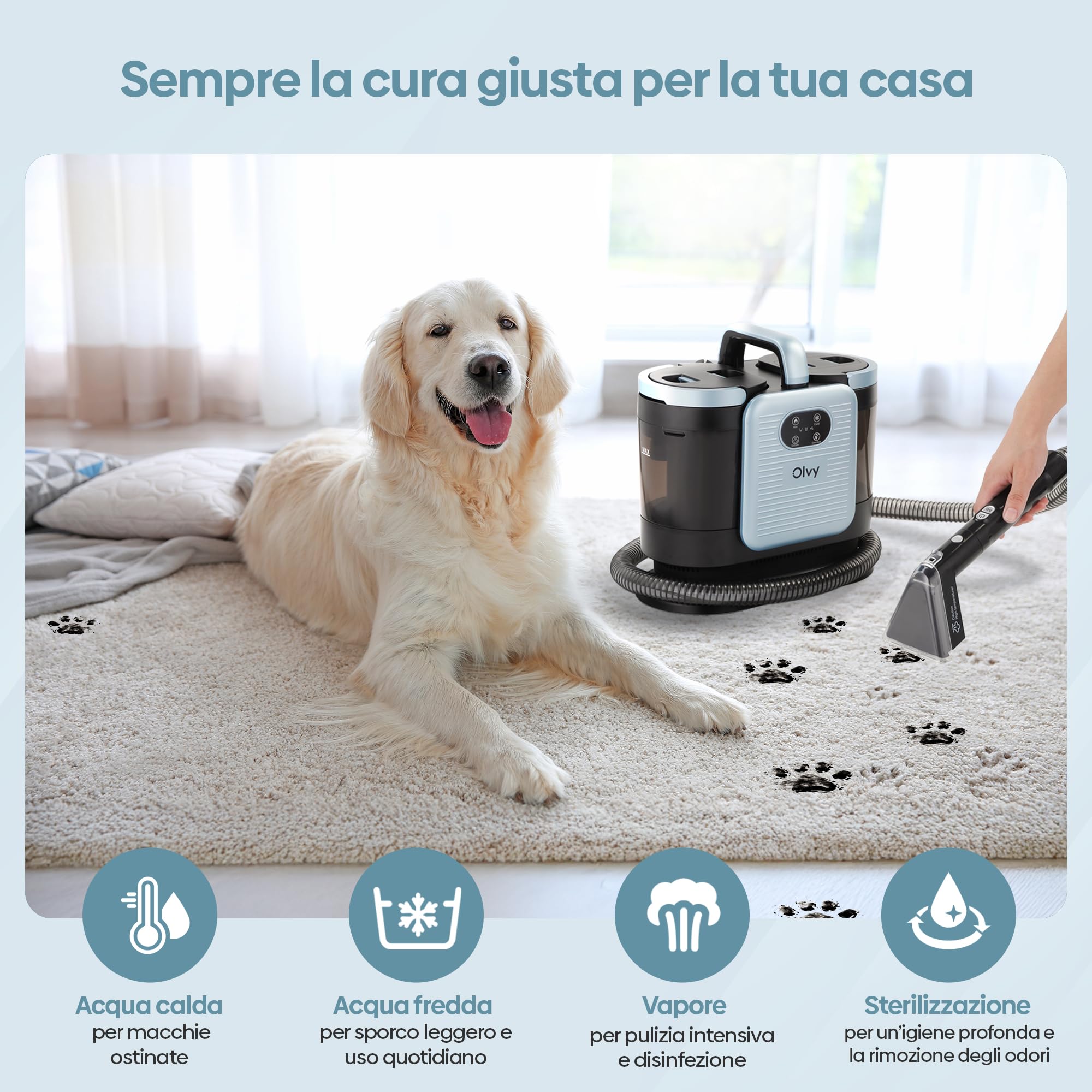 Olvy Pulitore per Tappeti PRO – Aspiratore a umido e pulitore a vapore per imbottiti – Pulitore a vapore a 100°C – Dispositivo per pulizia divani – Aspiratore per imbottiti a umido – 1650W