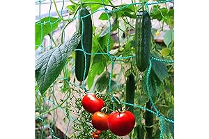 Premium Green Bean Trellis Netting for Vertical Gardening