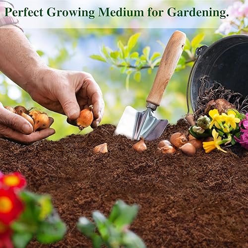 Miniatura 14 de ZeeDix Paquete de 10 ladrillos de coco de primera calidad, ladrillos de coco comprimidos orgánicos de fibra de coco para plantas, sustrato de fibra