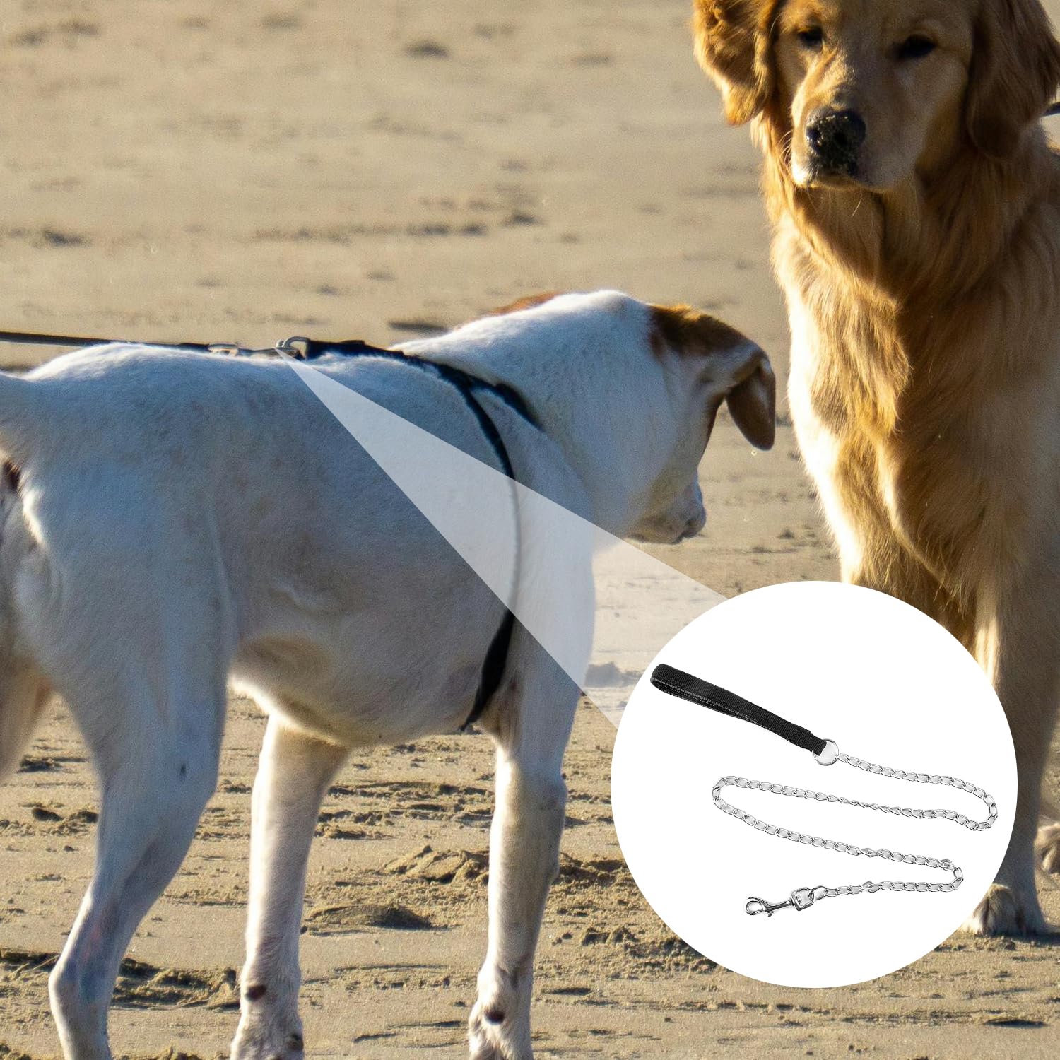 Bojueshaw Pet Collar with Metal Chain, Durable Dog Traction Rope with Comfortable Handle for Outdoor Walks Gardens - Image 4