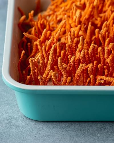 Miniatura 12 de Herb Pharm Mezcla CORDYCEPS de Champiñones Wellness con REISHI