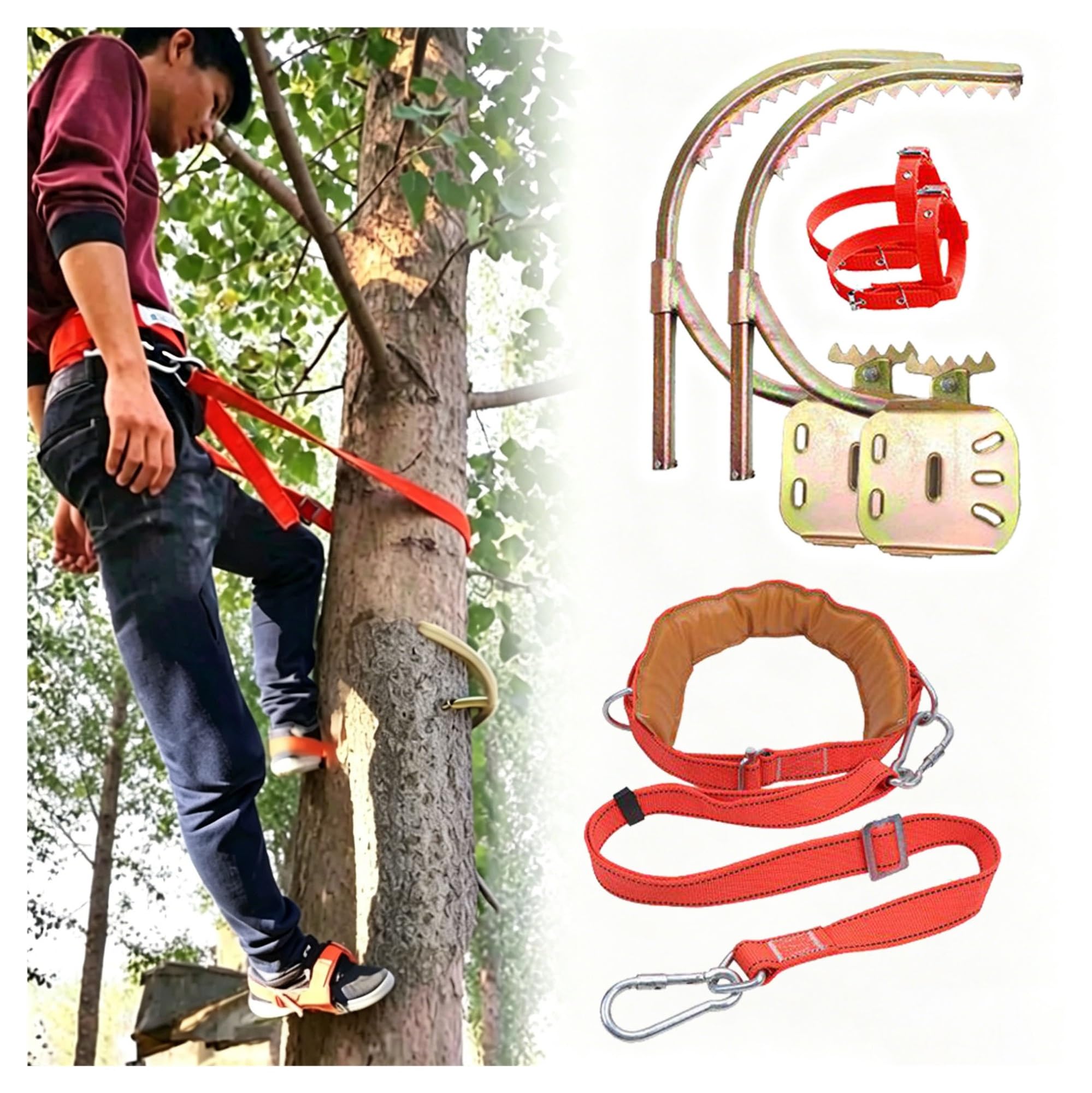 Ramponi Per Alberi Ramponi Da Arrampicata Su Alberi, Fibbie Antiscivolo Per Pali In Legno/Attrezzatura Da Arrampicata, Calzature Con Ramponi In Acciaio Al Manganese