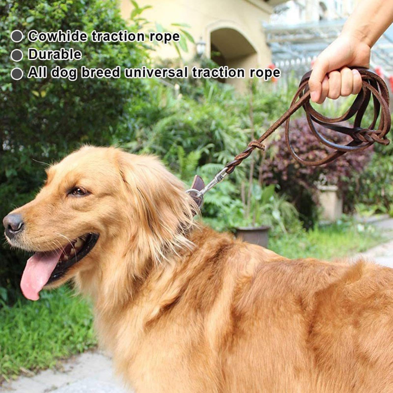 Laisse de sécurité en cuir véritable pour chien, solide, anti-nœuds, pour la marche, la course, la formation, 1,7 m