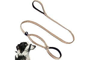 Multifunctional Figure 8 Slip Lead: The Ultimate Dog Training Tool