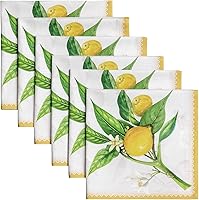 Vista 57 de Maison d' Hermine Servilletas de tela 100% algodón peinado de alta calidad, decorativas, lavables, juego de 4 servilletas para el hogar, cocina