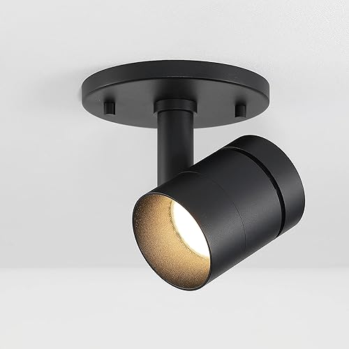 VidaLite Moderno aplique de superficie LED monopoint, cabezal de luz empotrado giratorio de 180, regulable, 3000 K, 1370 lúmenes, para estantería,