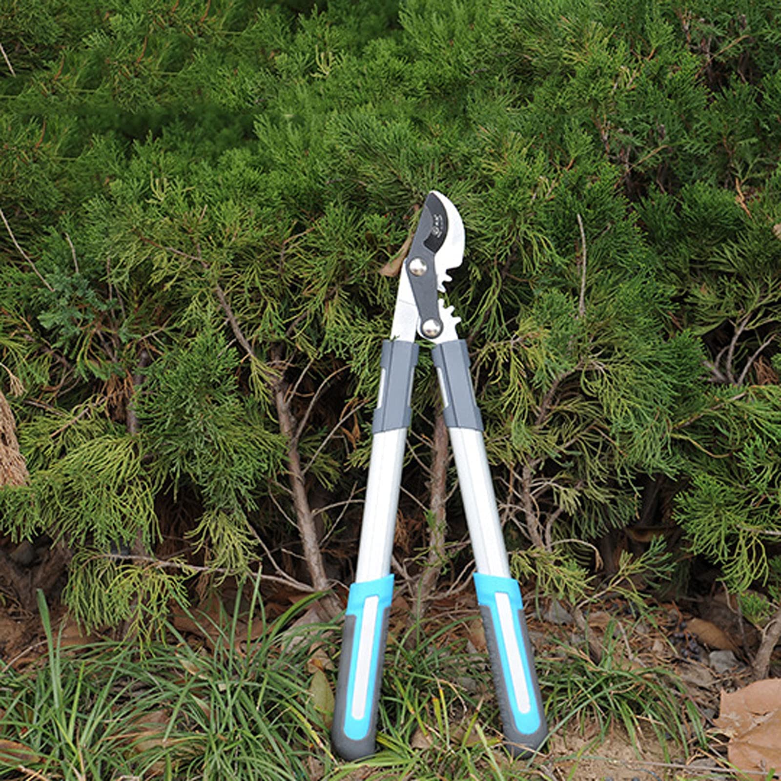 Tijeras para Setos De Jardín Herramientas De Jardinería, Podadora De Derivación con Acción Compuesta Corta Ramas Gruesas con Facilidad Cortadora De Ramas para Podadoras De,