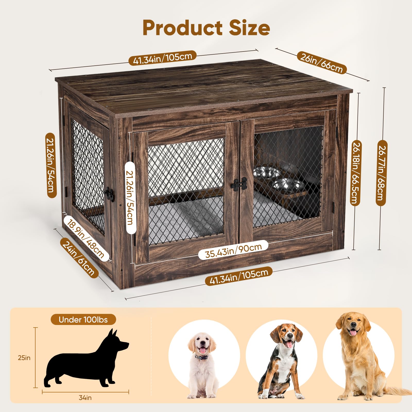 https://m.media-amazon.com/images/I/816FmUZ6HrL.jpg