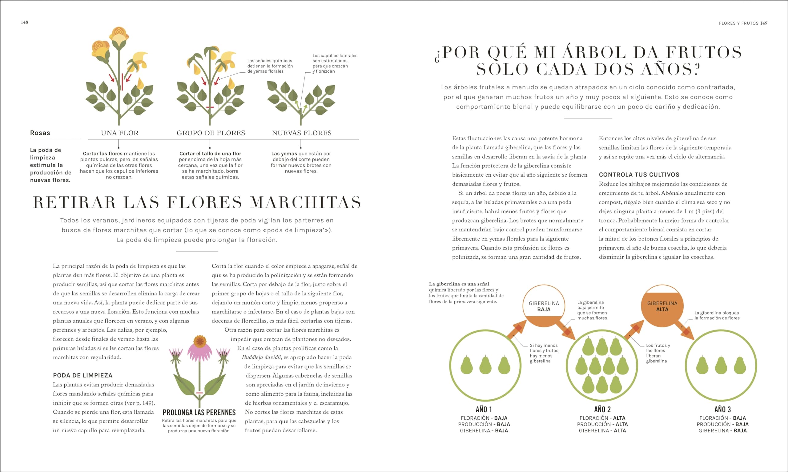 Jardinología: La ciencia de la jardinería