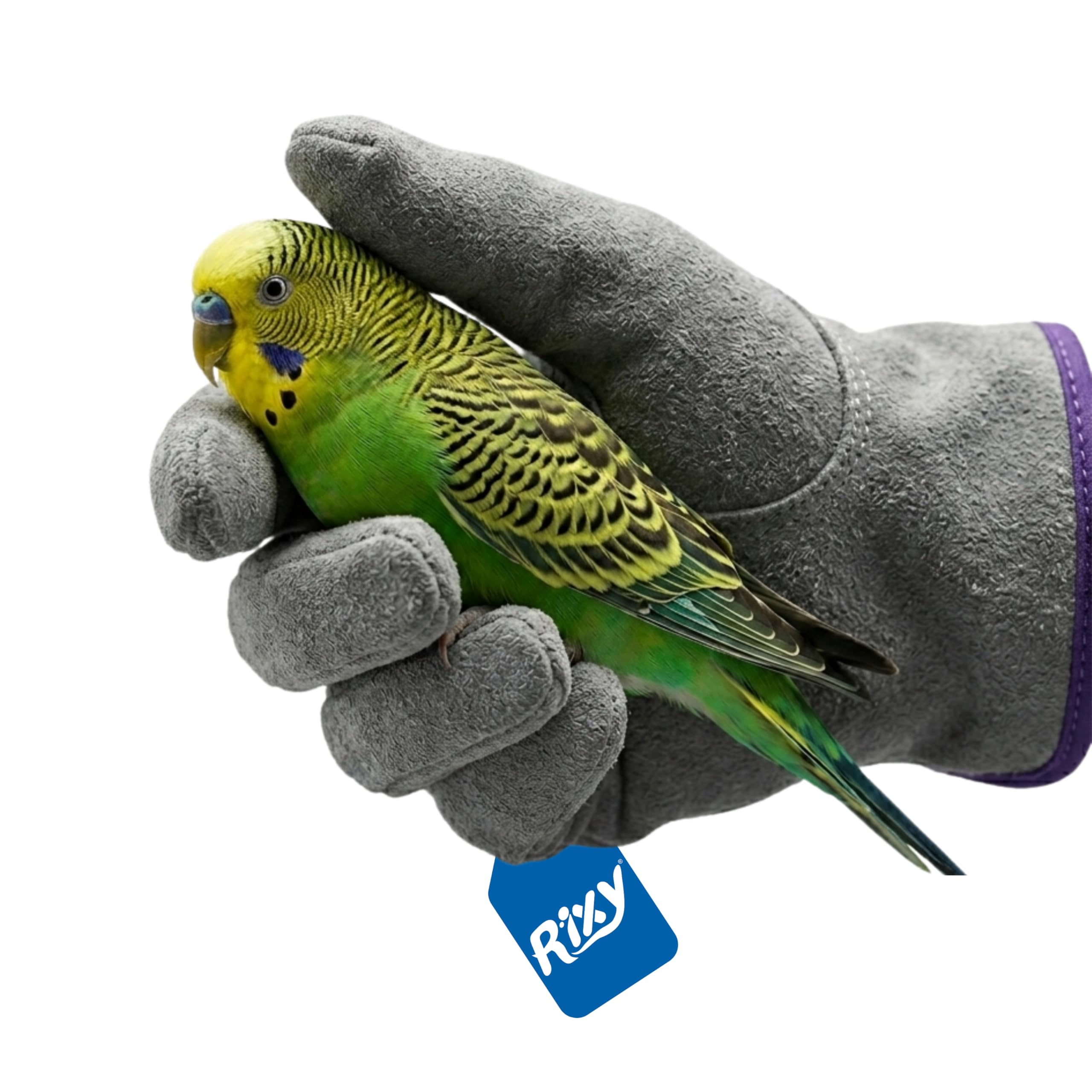 Taiyo Pluss Discovery Birds Catching Gloves/Suitable for Birds, Hamster, Guinea Pigs & Rabbit/Leather Type/Right Hand Gloves (1 Pcs) /Size: L-5.5 Inch, H-10.5 Inch-image-3