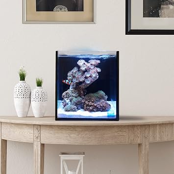 Innovative Marine Nuvo Fusion Pro 2 Series 10 Gallon Nano AIO All in One Aquarium - Item# 0205-P