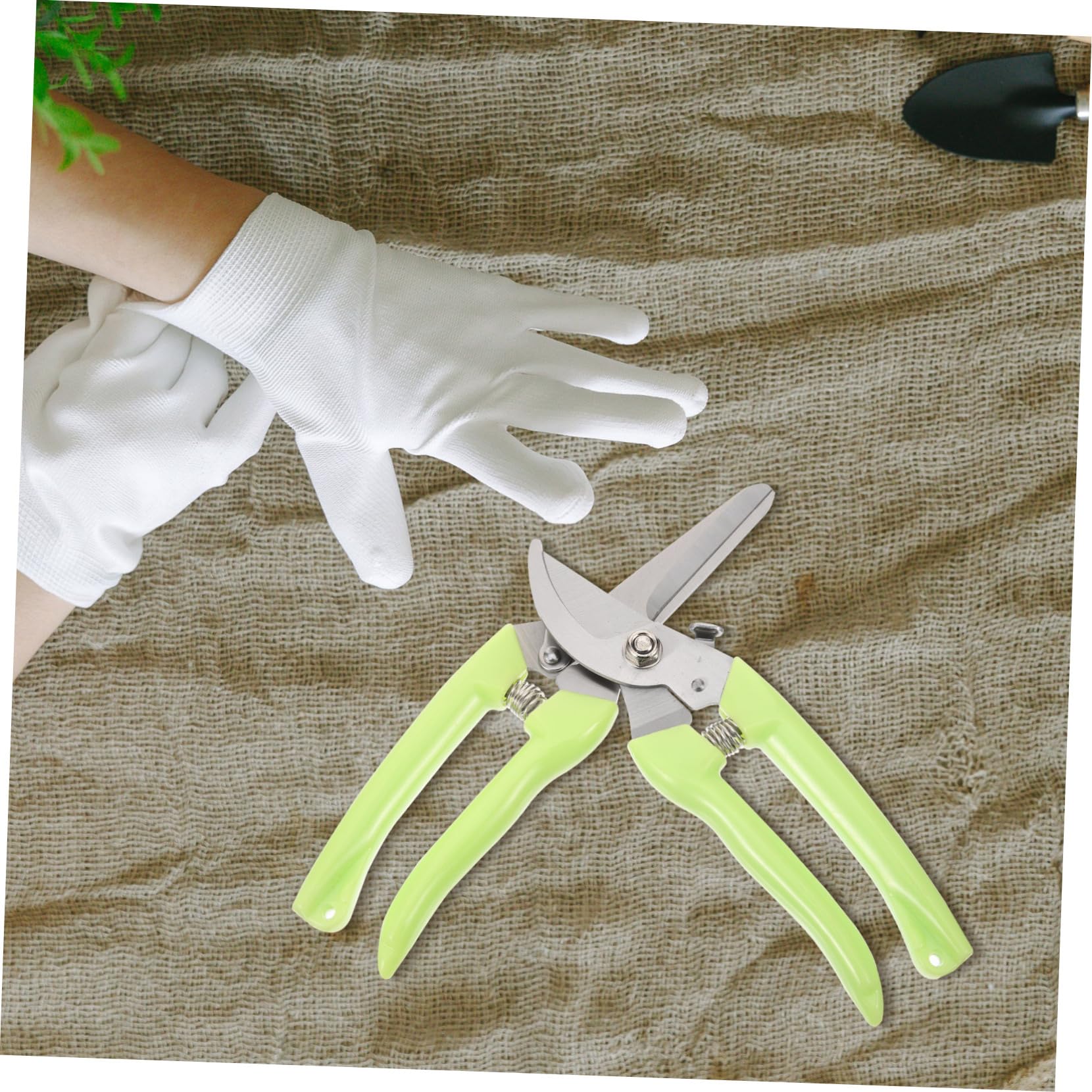 Toyvian 3 Sätze Garten Pflanzenschneider Teiliges Ergonomische Gartenscheren Für Obstschneiden Praktische Und Robuste Gartenschneidwerkzeuge Für Effektives Gärtnern 2 Stück * 3