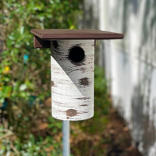 Miniatura 8 de DutchCrafters Gilbertson - Casa de pájaros azules con base extraíble, duradera y resistente a la intemperie, caja anidable para pájaros azules para