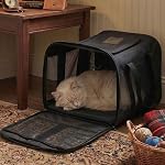 Conlun Cat Carrier Airline Approved, Soft-Sided Dog Carrier with Inner Safety Leash, Pet Transport Carrier for Small-Medium Cats Puppies up to 15 Lbs, Collapsible Travel Kitten Carrier Bag -Black M