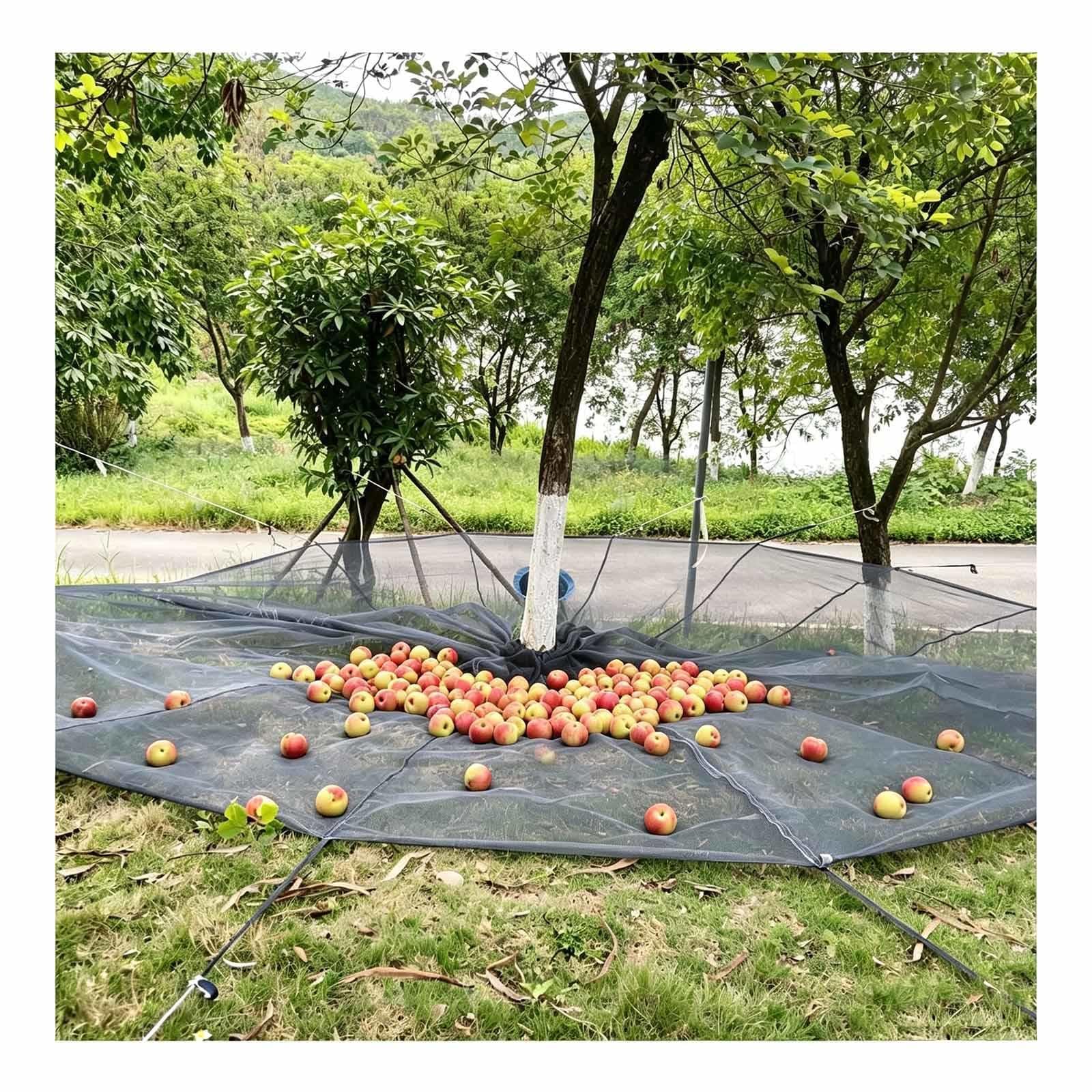 Red De Cosecha para árboles Frutales Equipado con Abertura De Descarga, Cierres De Gancho y Bucle y Correas De Fijación, Reutilizable,gray-Round-23 * 23ft（7 * 7m）