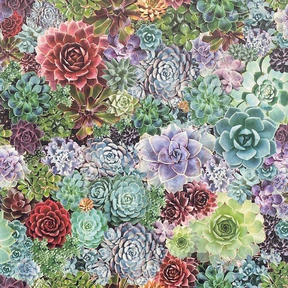 Arthouse Living Wall Succulent Wallpaper 26.5cm