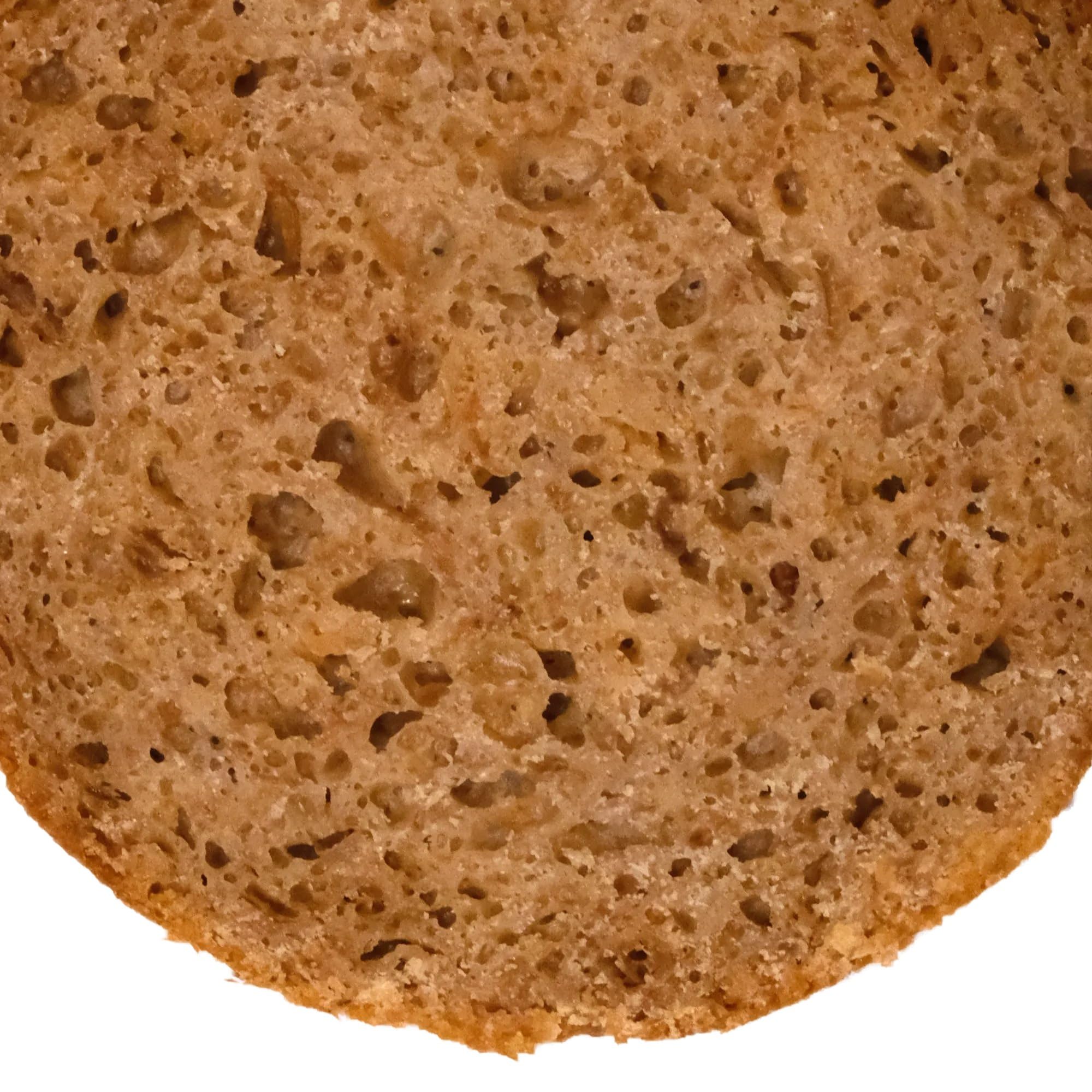 LANDSTREICHER Demeter BIO Dosenbrot, Zwiebelbrot, 5 Jahre haltbar, 6er Pack (2.400g)
