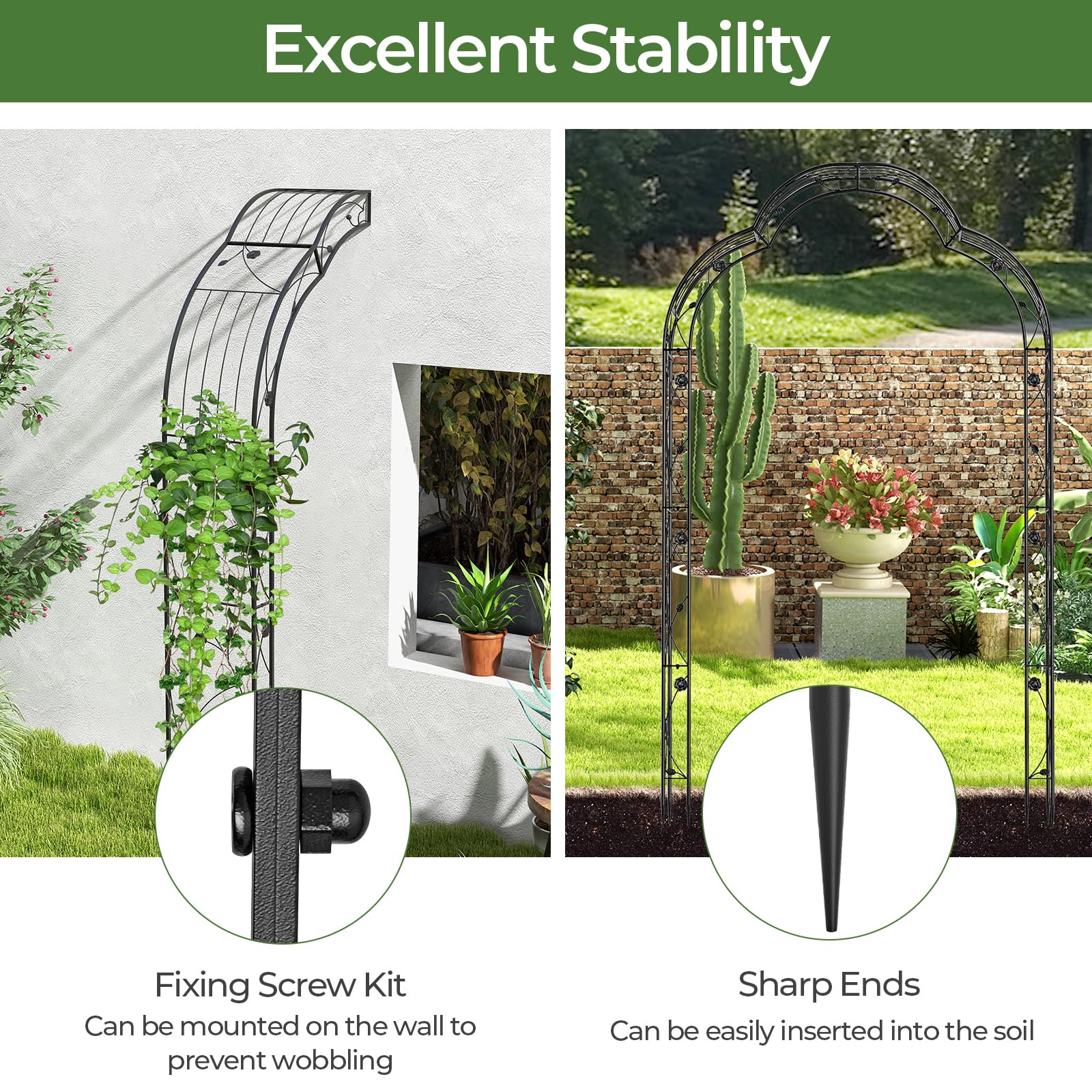 GIRUVI 「Grow on the Wall」Gracilius GIRUVI 「Grow on the Wall」Gracilius GIRUVI 「Grow on the