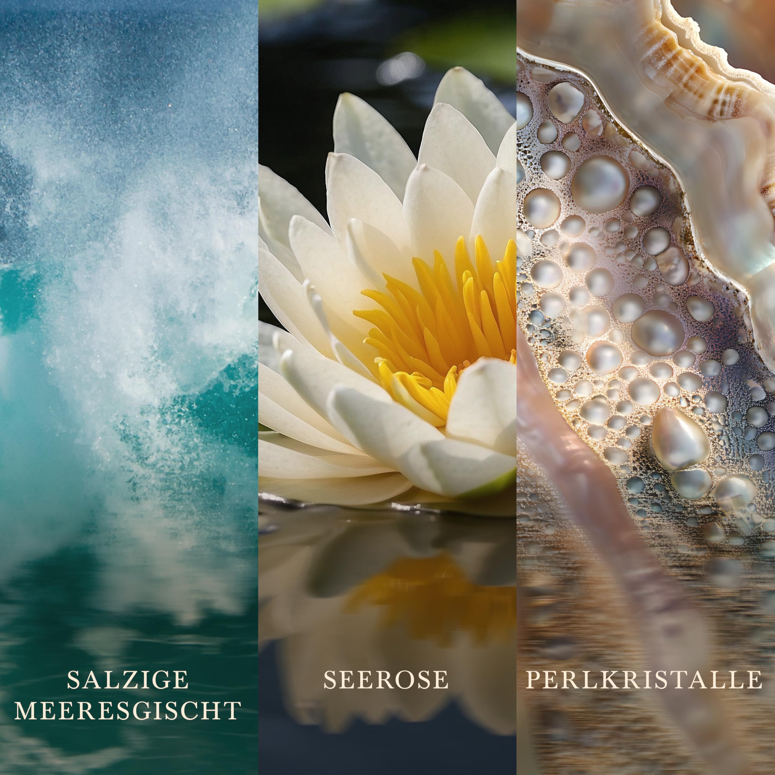WoodWick Duftkerze | Mittlere Hourglass-Kerze | Sea Spray | Perfekte Geschenke für Frauen