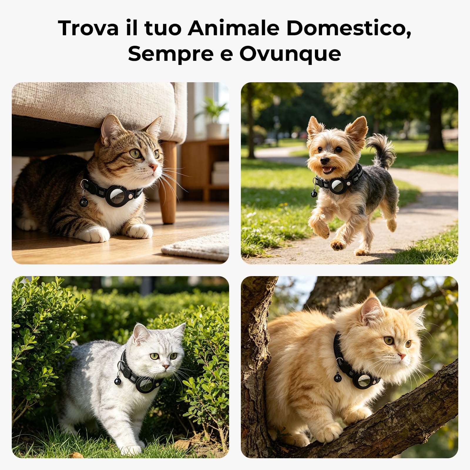 Localizzatore GPS per Gatto, Collare per Cani con Posizionamento Ausiliario, Cronologia delle posizioni, Cat Tracker, Senza Abbonamento Compatibile con IOS & Android