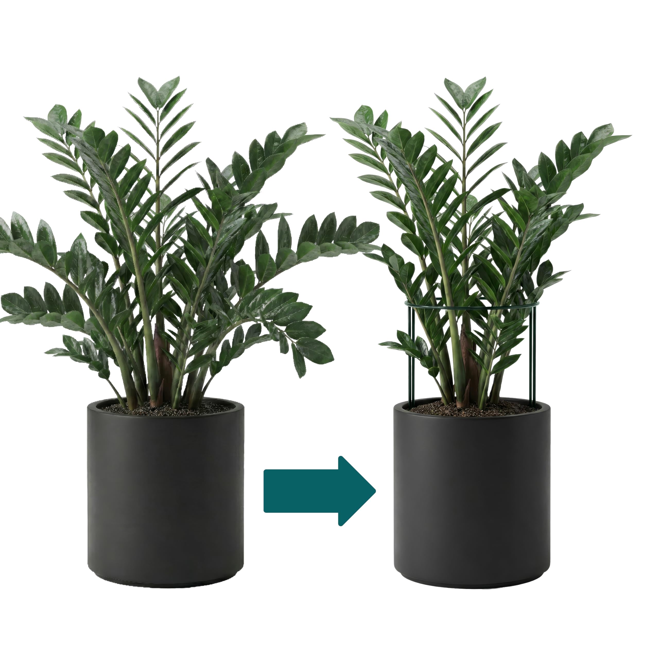 Sillar 10 Tuteurs pour Plantes Semi-Circulaires 25 x 40 cm, Support Plante Jardin en Fer Revêtu, pour Pivoine, Hortensia, Rosier, Tomates, Fleurs, Plantes Grimpantes, Protection Vent