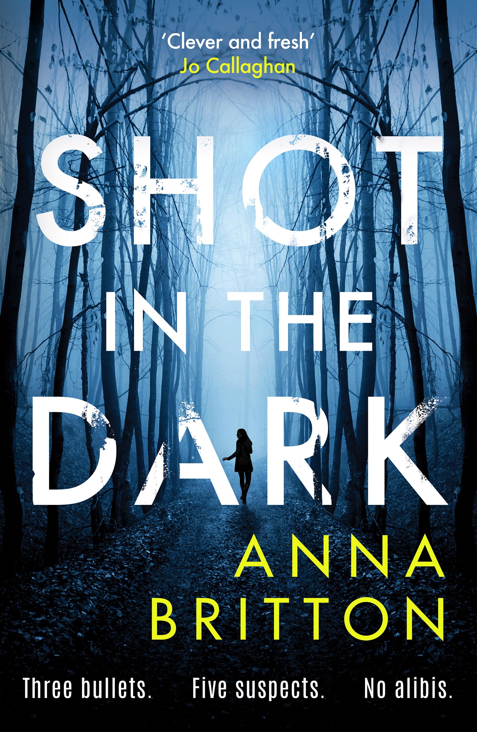 Shot in the Dark: A gripping crime thriller with an unforgettable detective duo (Detectives Martin & Stern, 1)