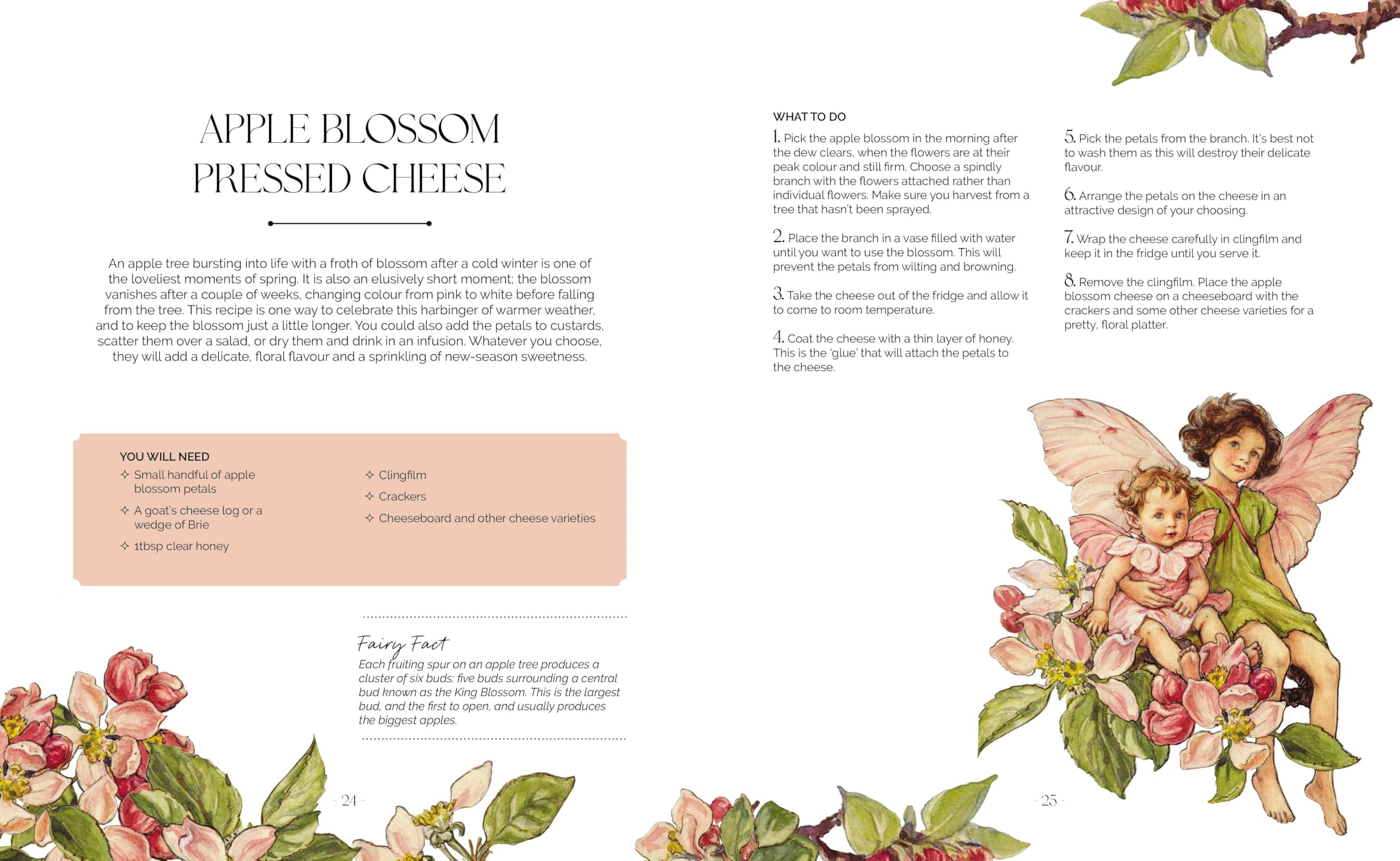 The Flower Fairies Herbal: Recipes and Remedies from the Hedgerow, Field and Forest.