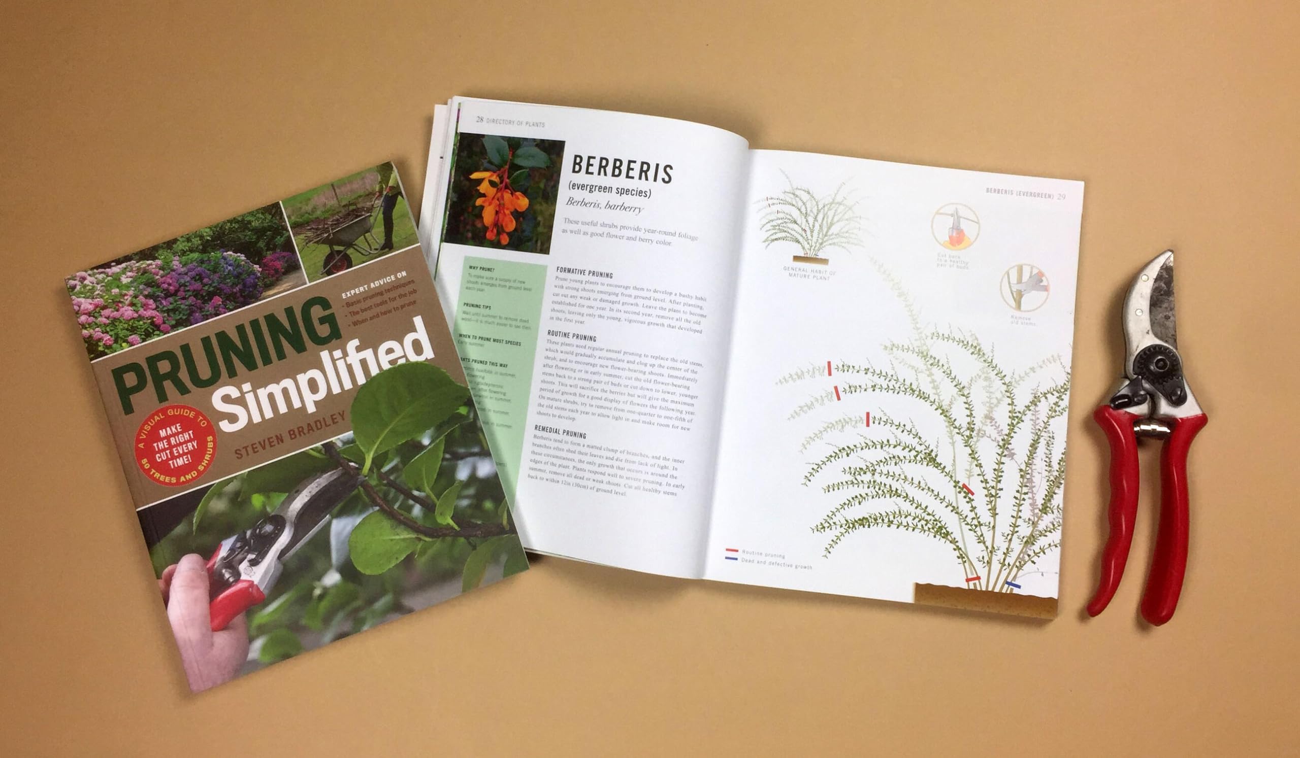 Snapklik.com : Pruning Simplified: A Step-by-Step Guide To 50 Popular ...