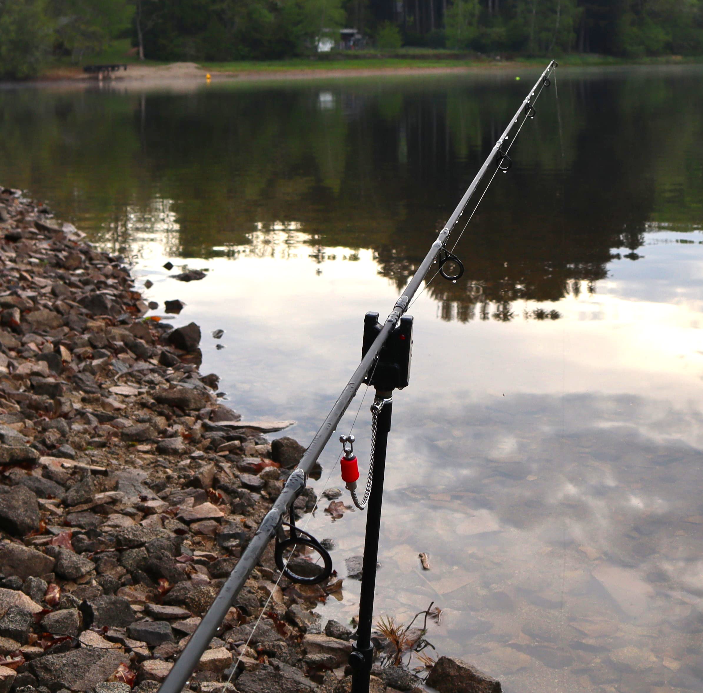Caña de pescar carpa 3 m 3 lbs o carnasero en la posición