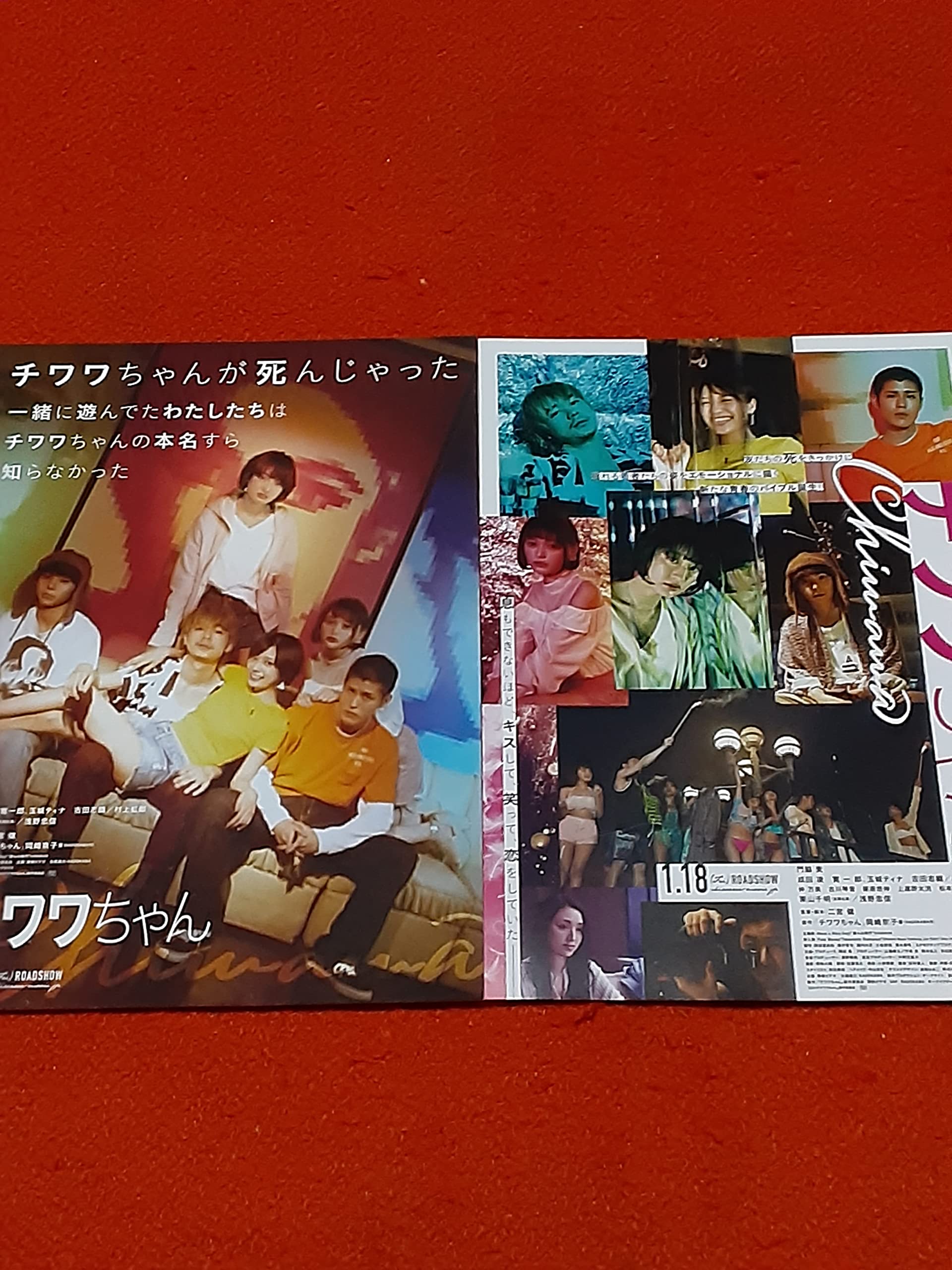 Amazon.co.jp: 映画「チワワちゃん」チラシ2種セット 門脇麦