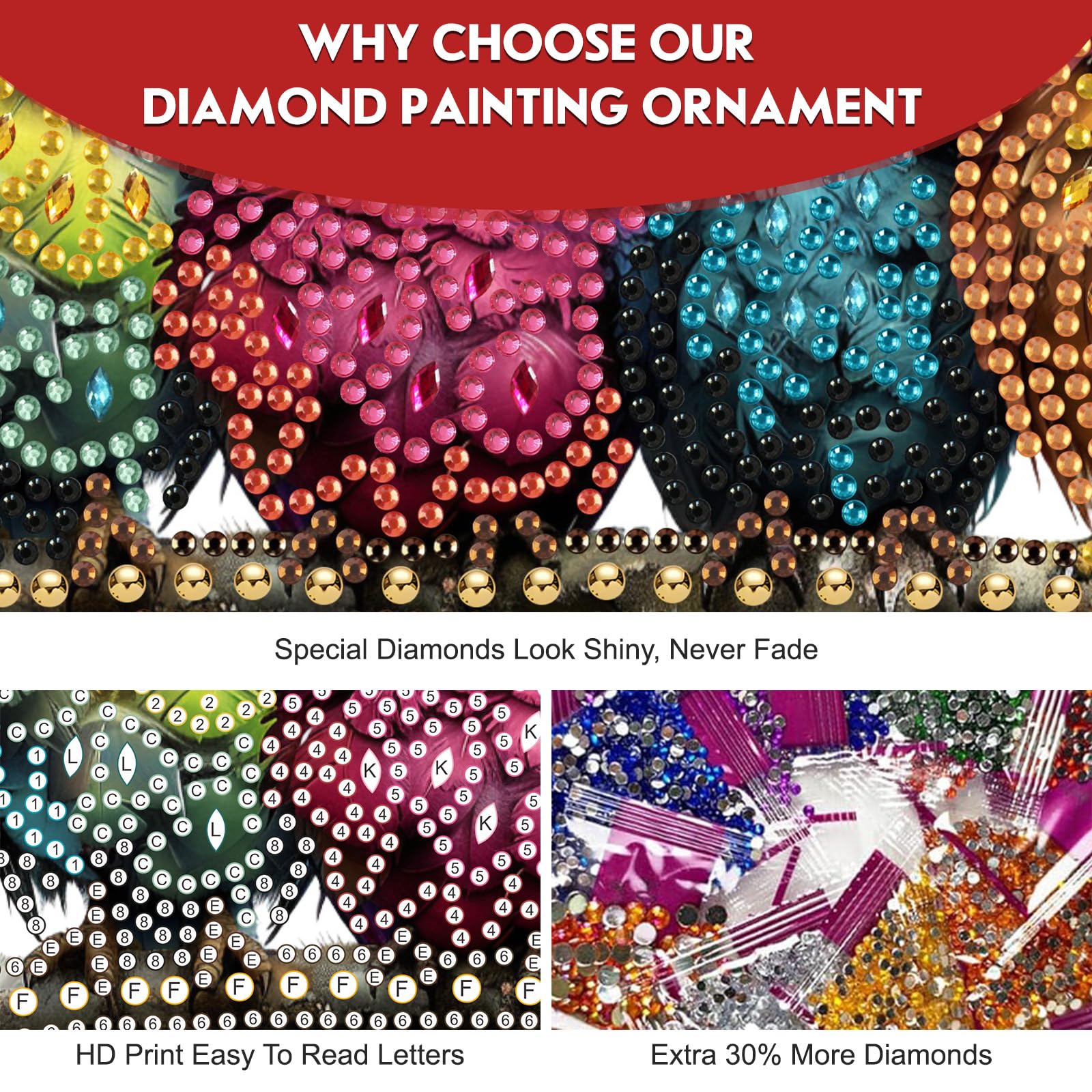 DIY Diamond Painting Kit - Colorful Bird Art -4