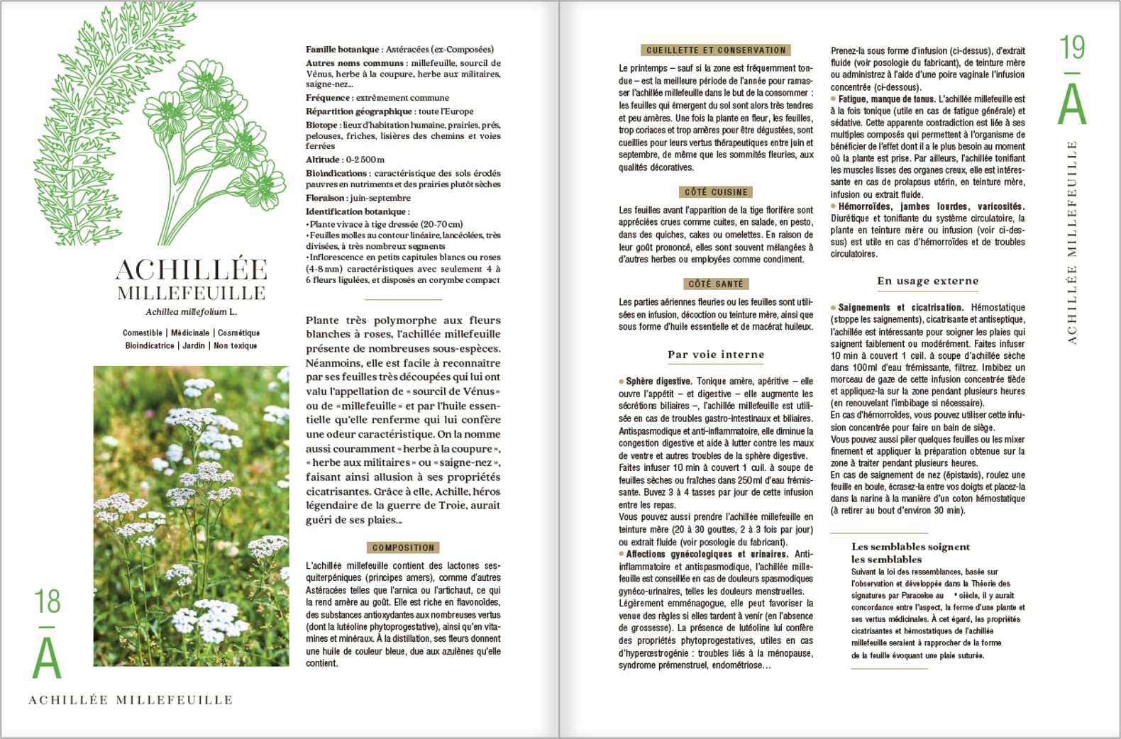 Le guide des plantes sauvages. 100 plantes essentielles aux vertus bienfaisantes - Identification, cueillette, préparation, conservation, propriétés ... plantes essentielles aux vertus bienfaisantes
