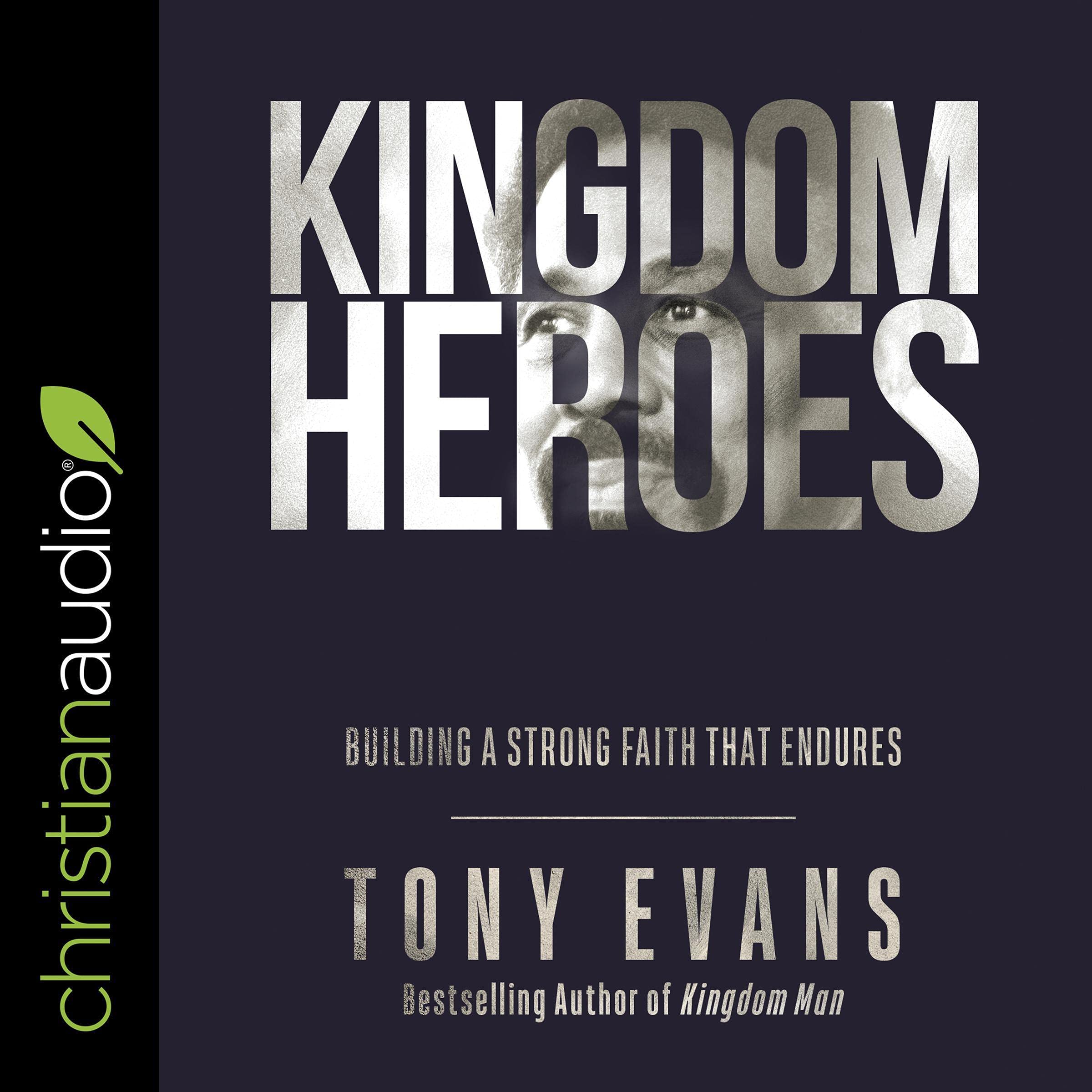Cover art for Kingdom Heroes