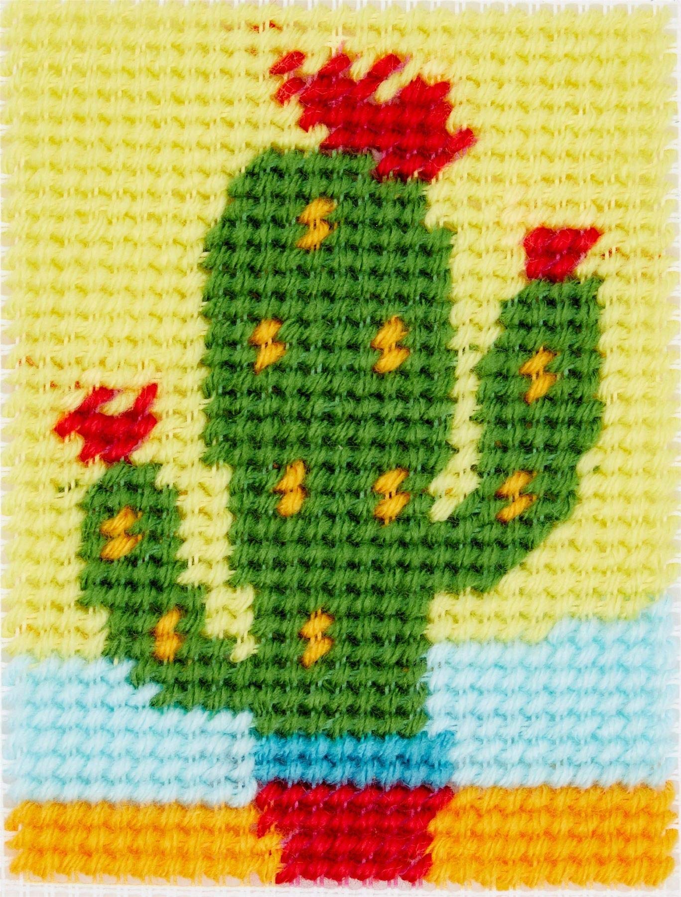 DMC I Can Stitch Kit - The Cactus
