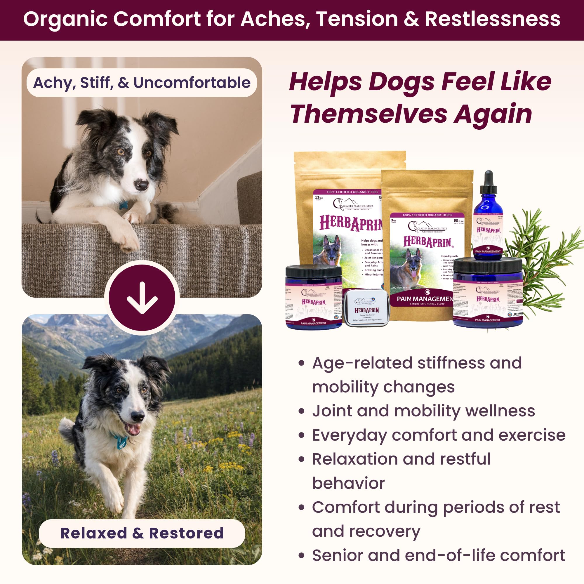 Glacier Peak Holistics HerbAprin Pain Relief & Joint Comfort for Dogs 3 oz — Amazon image 4