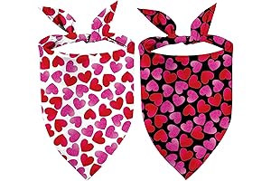 Valentine's Day Dog Bandanas 2 Pack: Gradient Pink Hearts Dog Scarves for Boy and Girl