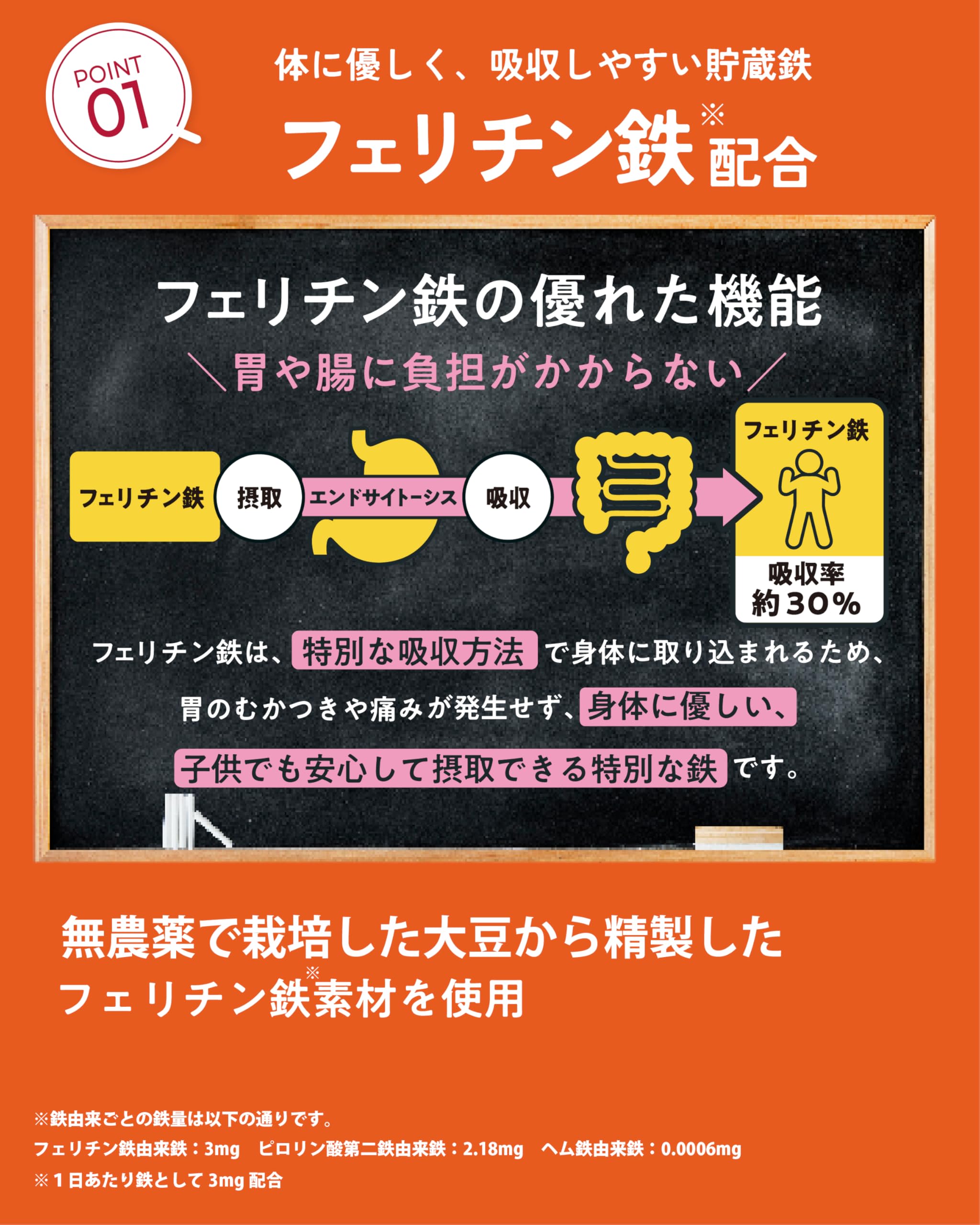 LEYON 鉄不使用スタディフード 乳幼児用サプリメント
