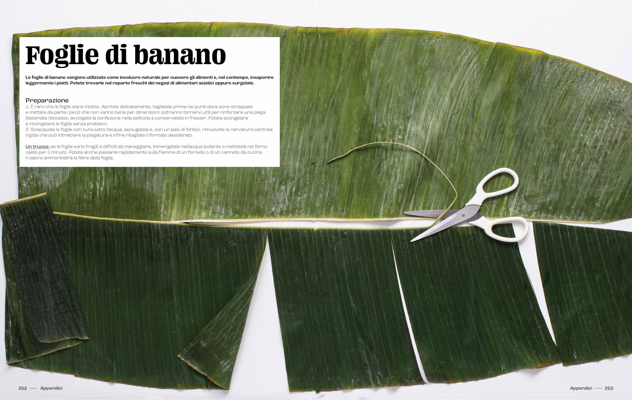 Cucina thailandese facile. 100 ricette, tecniche e consigli per cucinare a casa vostra come in Thailandia