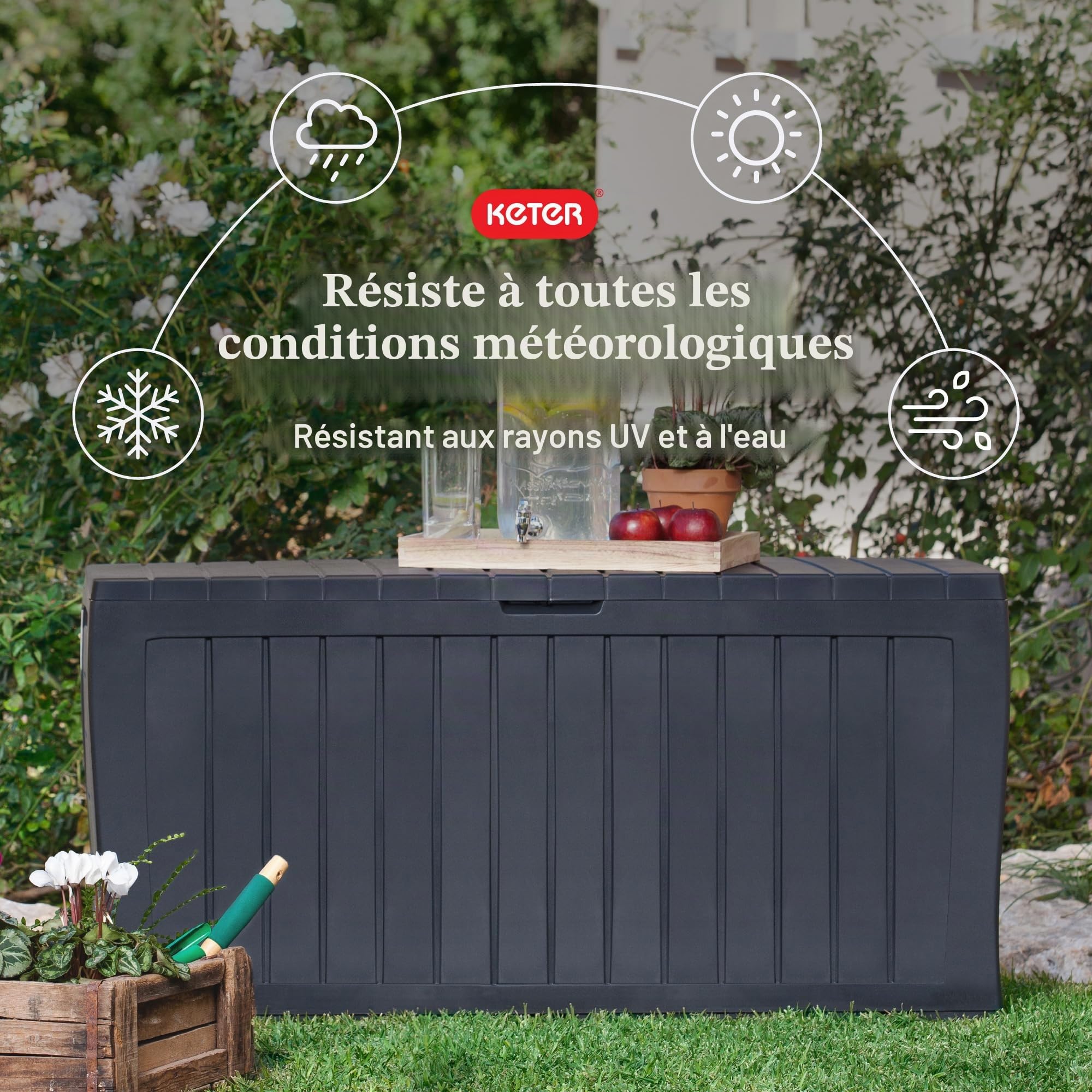 Keter Marvel Plus 243531 Boîte de rangement en résine résistante aux intempéries Gris 243531
