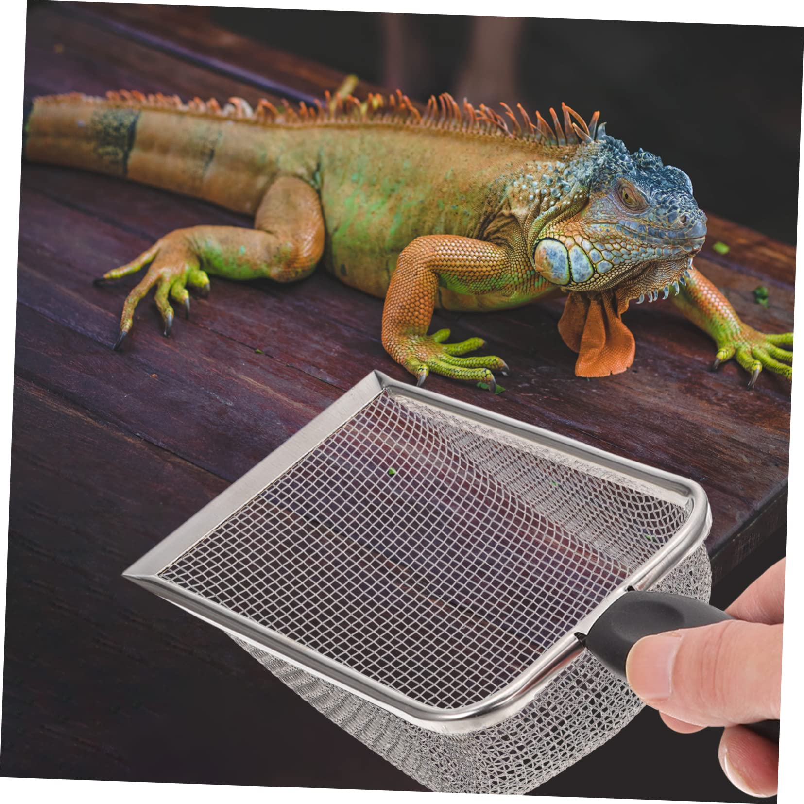 Pelle à Sable En Inox Pour Terrarium Reptile - Tamis Pour Nettoyer Litière - Outil Ergonomique Pour Tortue, Lézard, Serpent