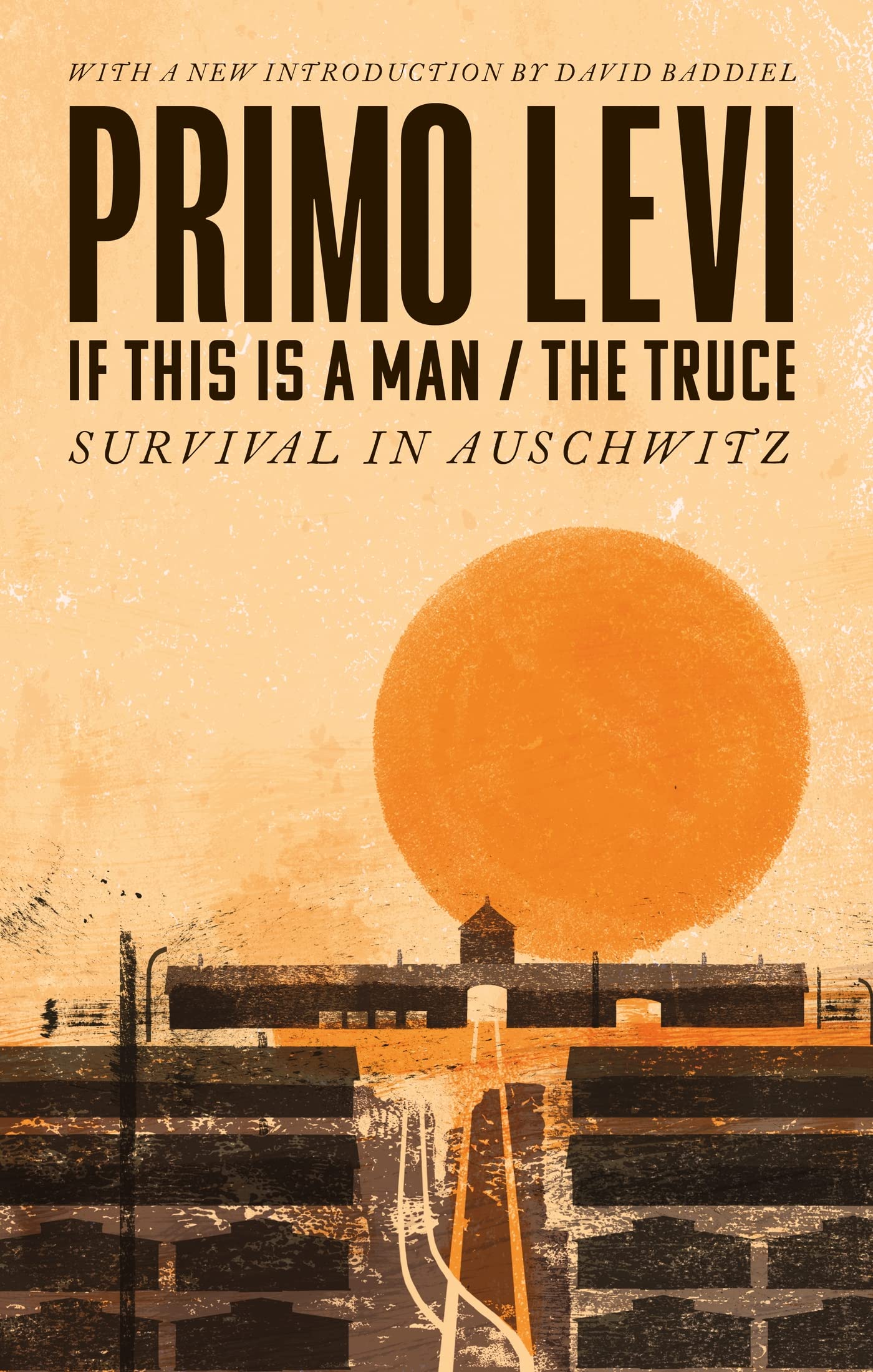 If This Is A Man/The Truce: Hachette Essentials