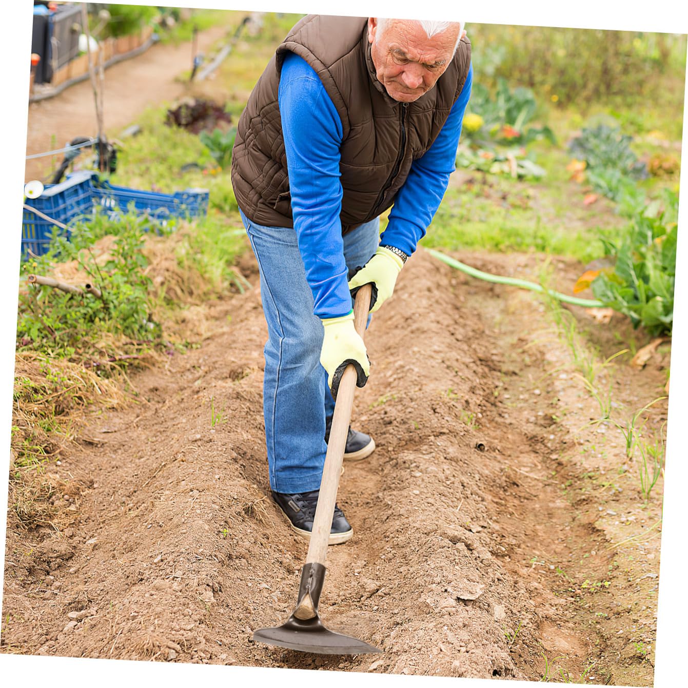 VILLCASE Strumento Zappetta per Diserbo in Acciaio Sturdy per Orto e Giardino Attrezzo Manuale per Rimozione Erbacce e Lavoro Terreno Taglio Resistenti Senza Manico