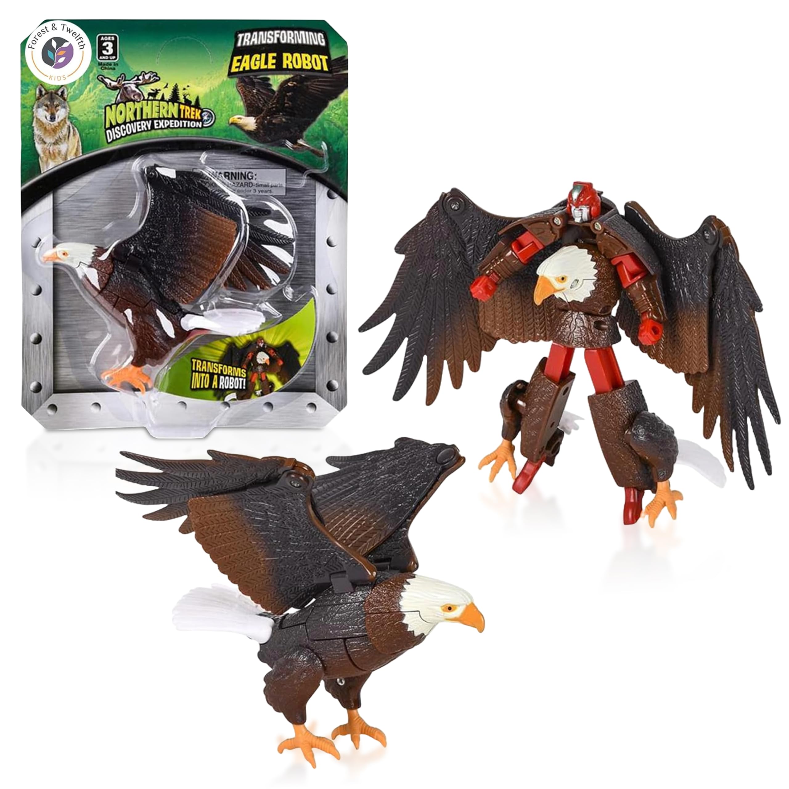 【Forestman works】Eagle touch the sky Amazon.com: Forest & Twelfth 4