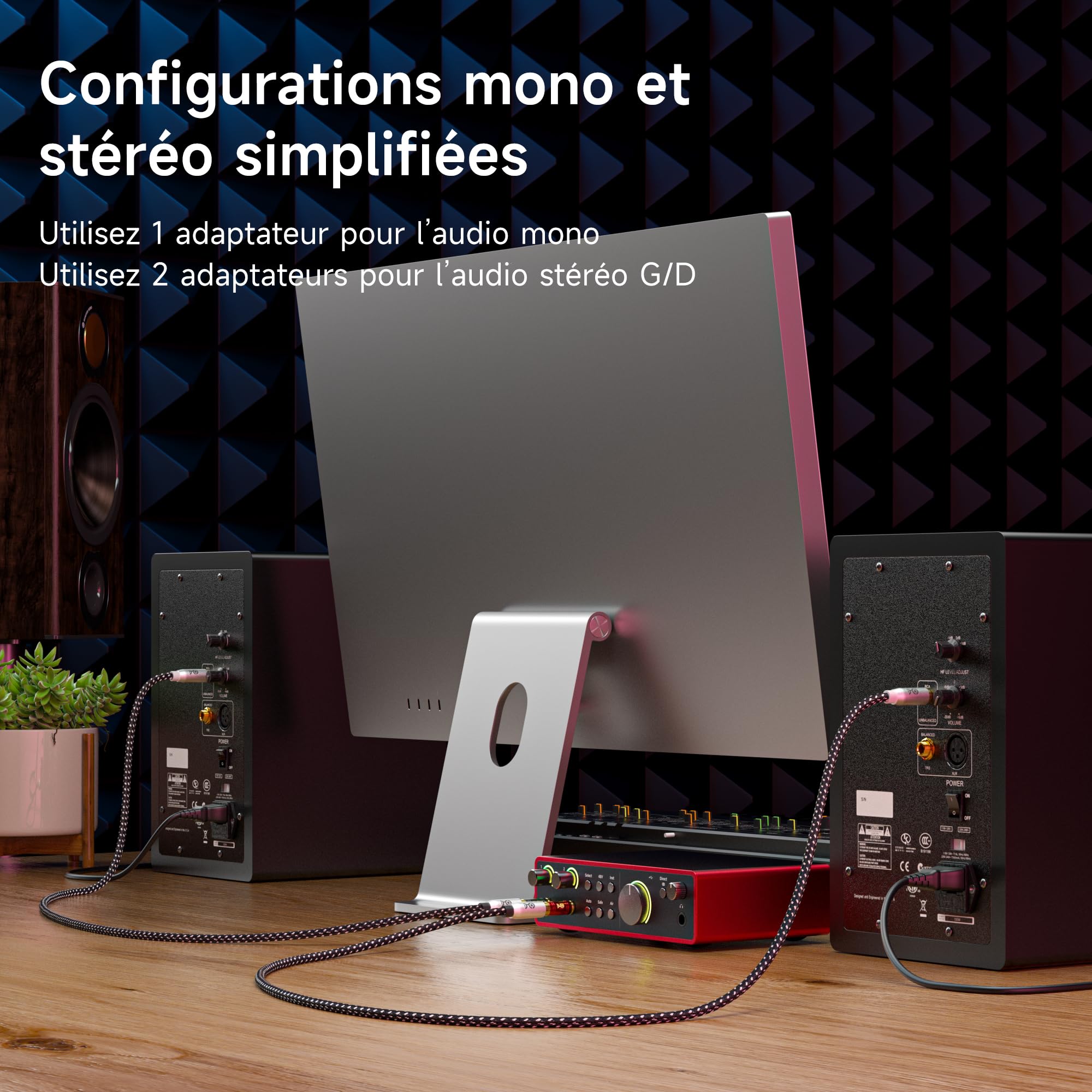 Cable Matters Lot de 4 adaptateurs RCA vers Jack 6,35 mm (1/4") TS Mono – Convertisseur Jack 6,35 mm vers RCA, pour TV, chaîne Hi-FI, ampli, Instruments et équipements Audio domestiques